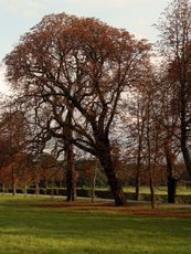 B-Herbststimmung 098.jpg